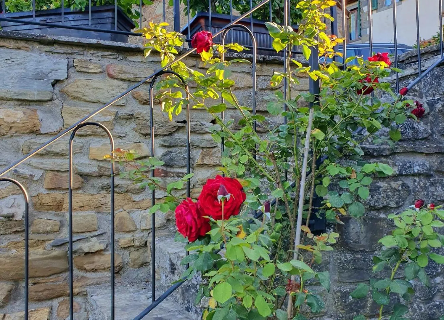 Appartamento Residenza Conti Santa Cristina  Italia