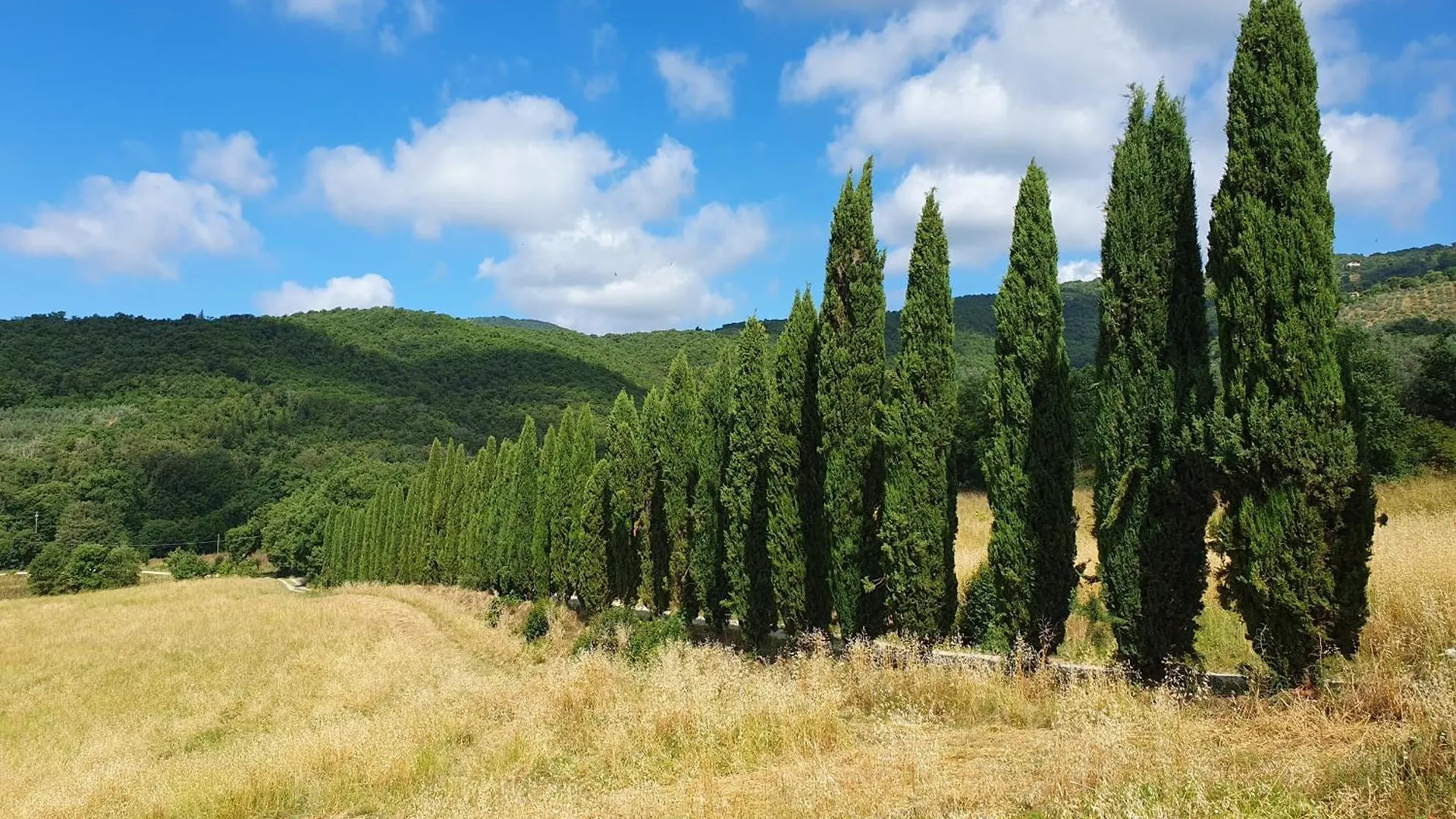 Appartamento Residenza Conti Santa Cristina